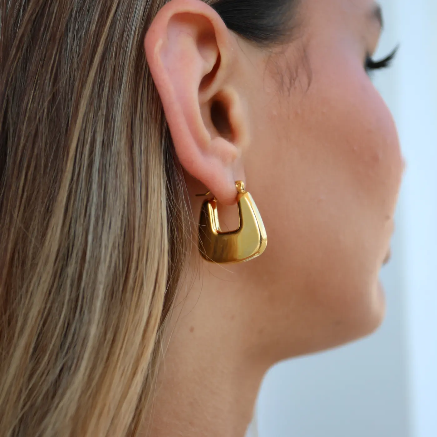 Pochette Earrings for women