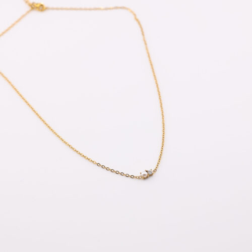 Trinket Necklace